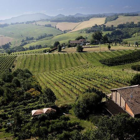 La Ca Dal Non Bioagriturismo - Alpenice Savignano sul Panaro Exteriör bild