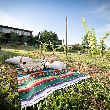 La Ca Dal Non Bioagriturismo - Alpenice Savignano sul Panaro Exteriör bild