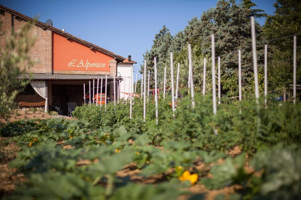 La Ca Dal Non Bioagriturismo - Alpenice Savignano sul Panaro Exteriör bild