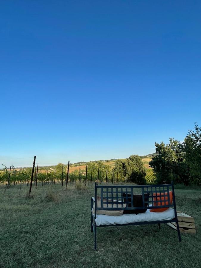 La Ca Dal Non Bioagriturismo - Alpenice Savignano sul Panaro Exteriör bild