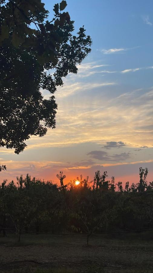 La Ca Dal Non Bioagriturismo - Alpenice Savignano sul Panaro Exteriör bild