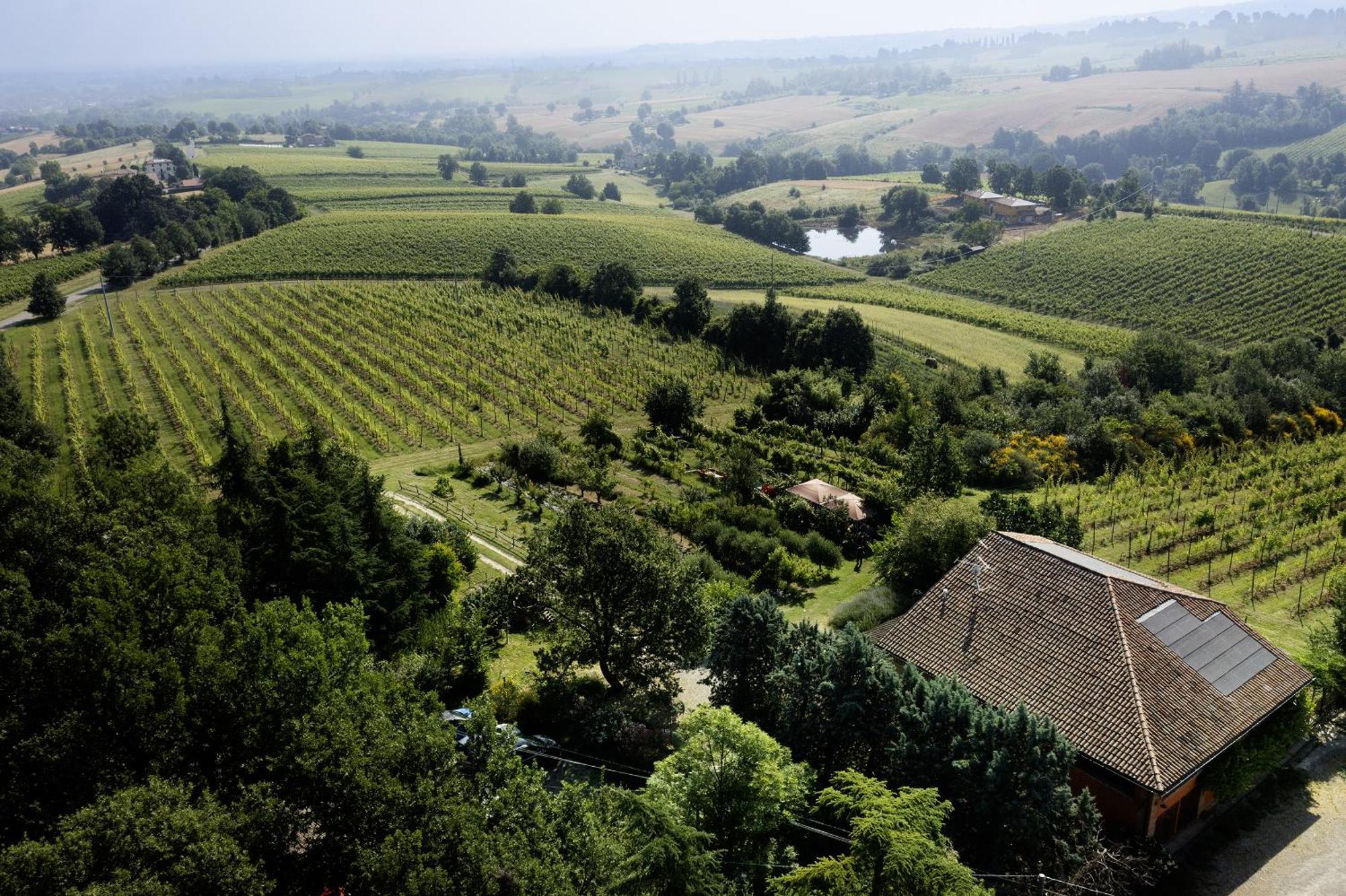 La Ca Dal Non Bioagriturismo - Alpenice Savignano sul Panaro Exteriör bild