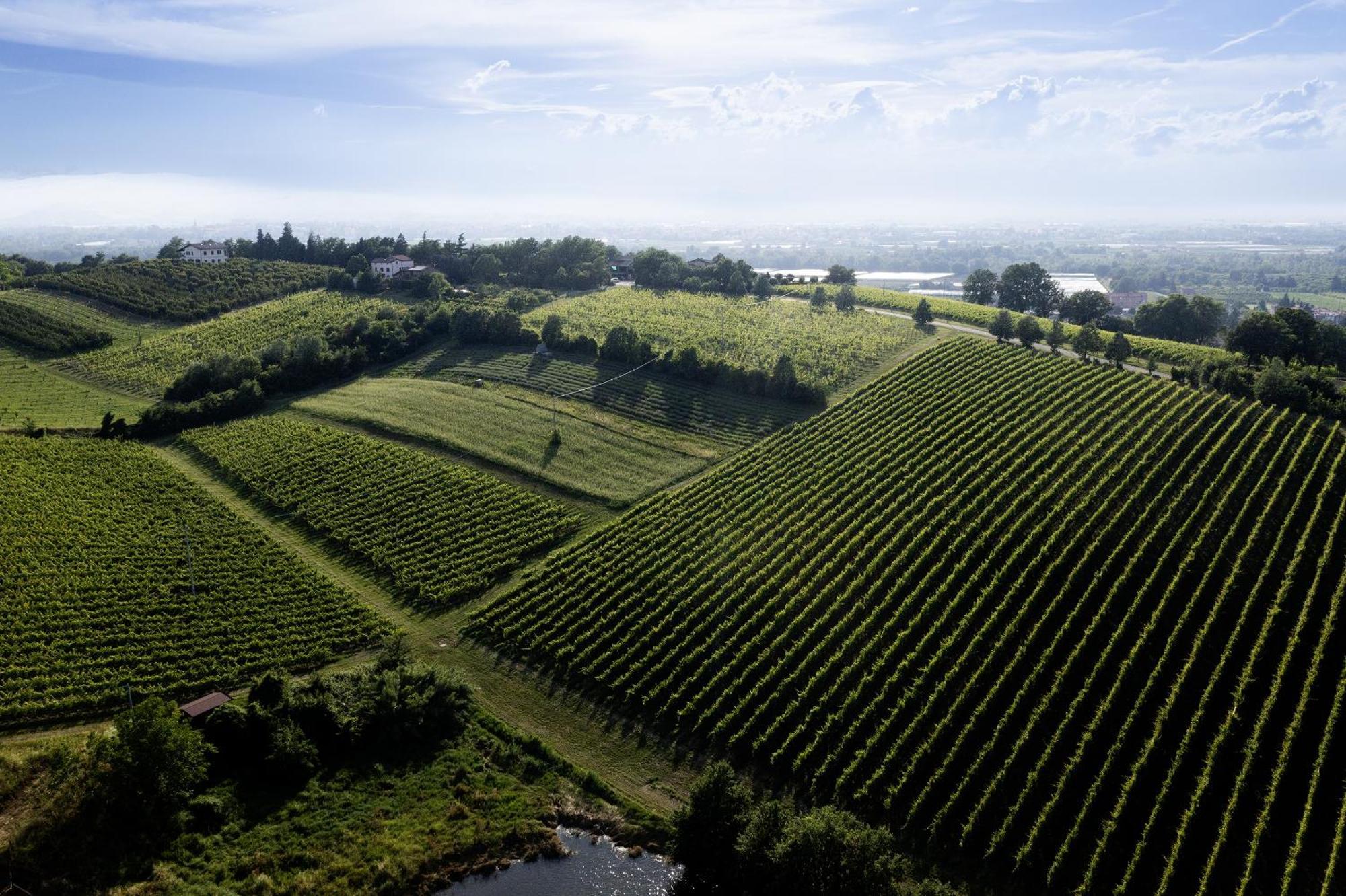 La Ca Dal Non Bioagriturismo - Alpenice Savignano sul Panaro Exteriör bild