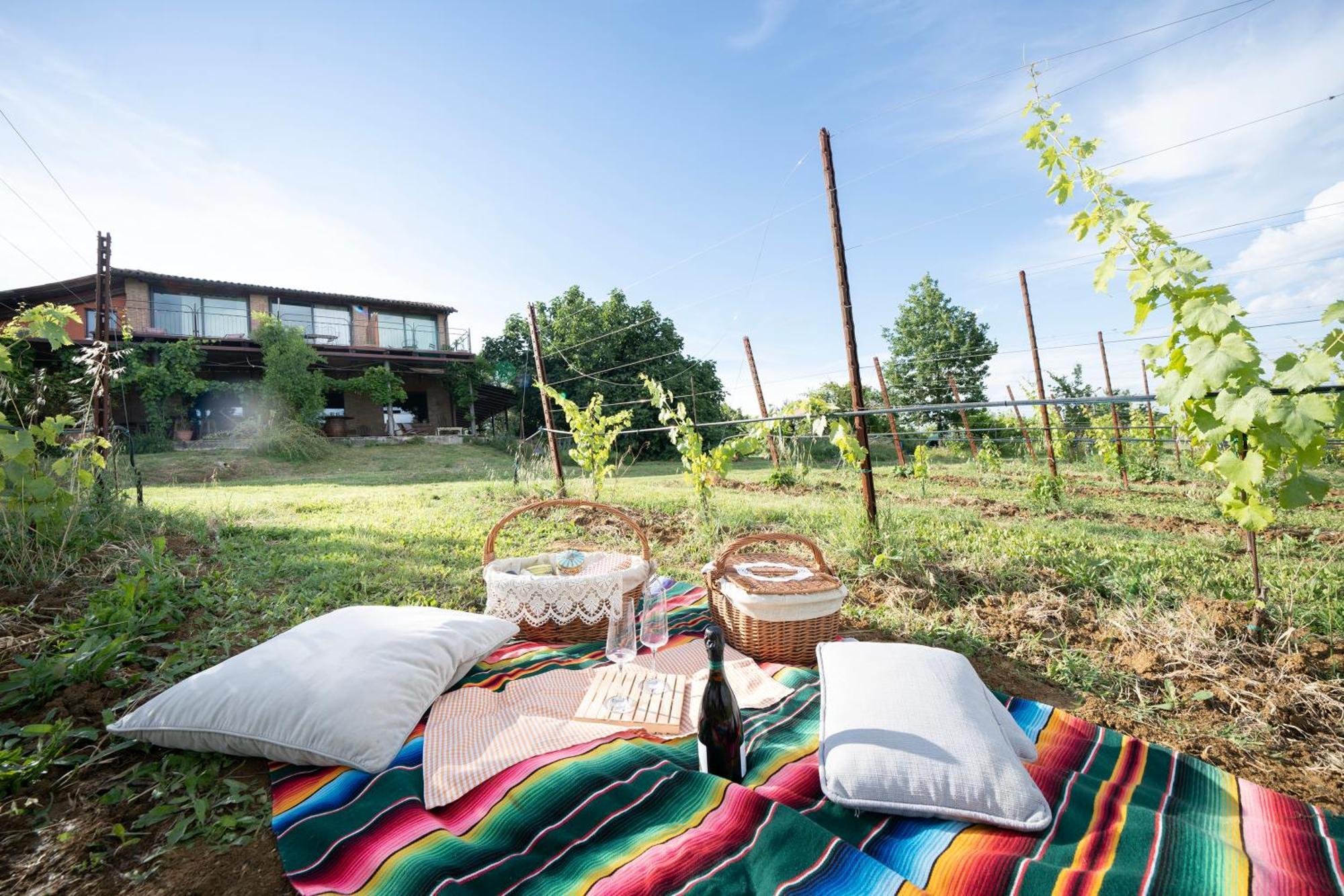 La Ca Dal Non Bioagriturismo - Alpenice Savignano sul Panaro Exteriör bild