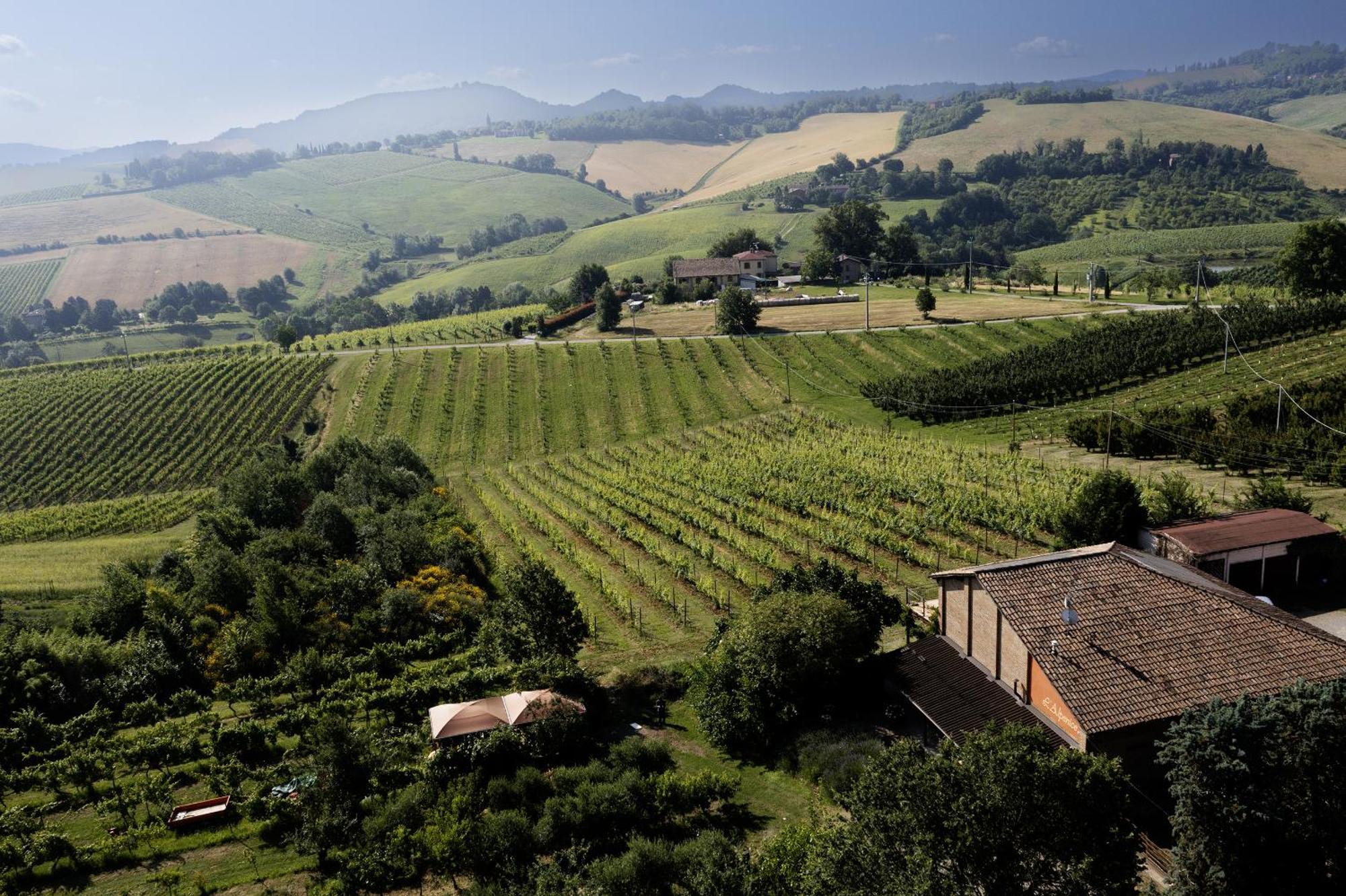 La Ca Dal Non Bioagriturismo - Alpenice Savignano sul Panaro Exteriör bild