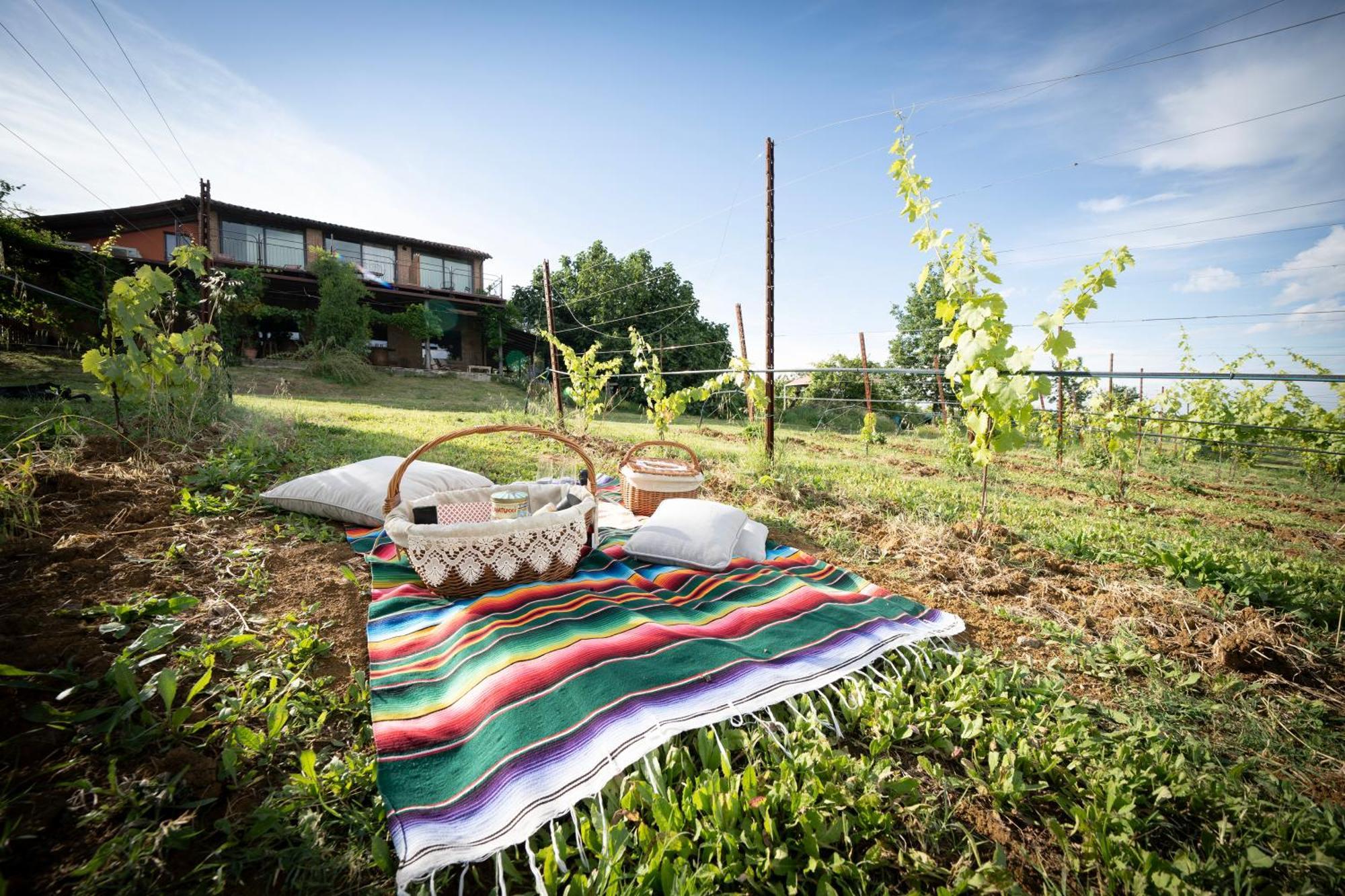 La Ca Dal Non Bioagriturismo - Alpenice Savignano sul Panaro Exteriör bild
