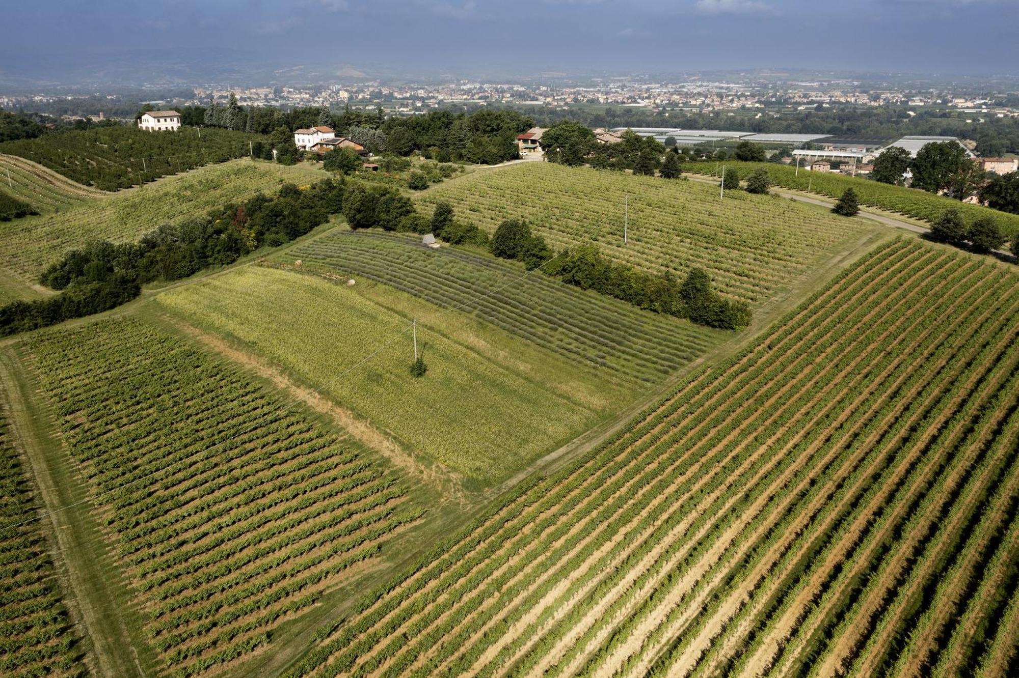 La Ca Dal Non Bioagriturismo - Alpenice Savignano sul Panaro Exteriör bild