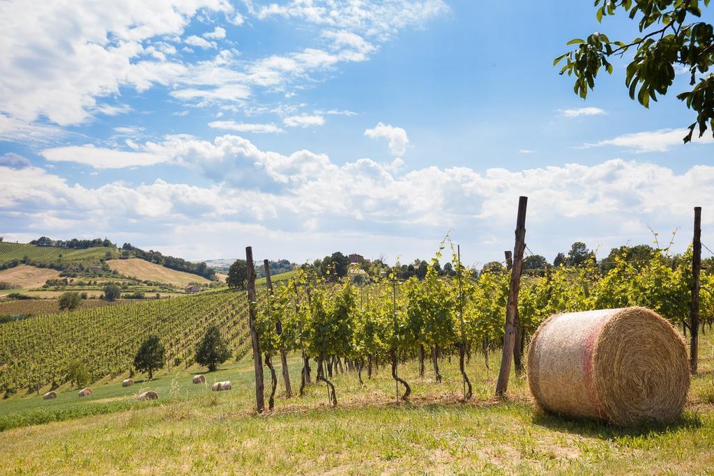 La Ca Dal Non Bioagriturismo - Alpenice Savignano sul Panaro Exteriör bild